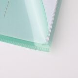 卓联彩色 L型夹透明文件袋单片夹A4文件套二页插页袋塑料办公用品资料夹 E310-18彩色单片夹 透明绿 30个装